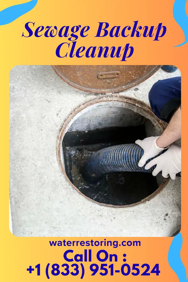 Sewage Backup Cleanup in Ohio City, OH